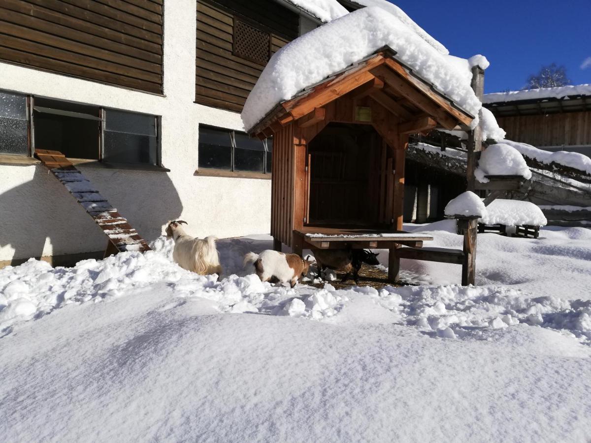 Apartamento Zweimaederlhaus Bad Mitterndorf Exterior foto